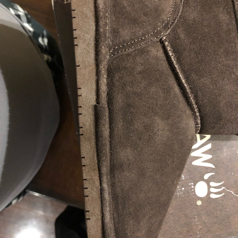 Chocolate Bearpaws *PLEASE READ BEFORE PURCHASE* - Picture 4 of 7